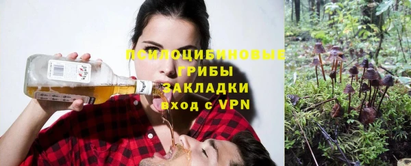 ALPHA PVP Аркадак