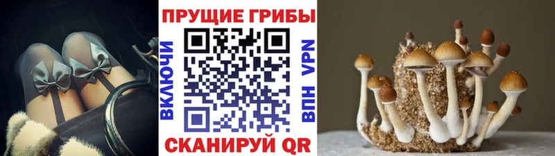 Галлюциногенные грибы GOLDEN TEACHER цена Ленск